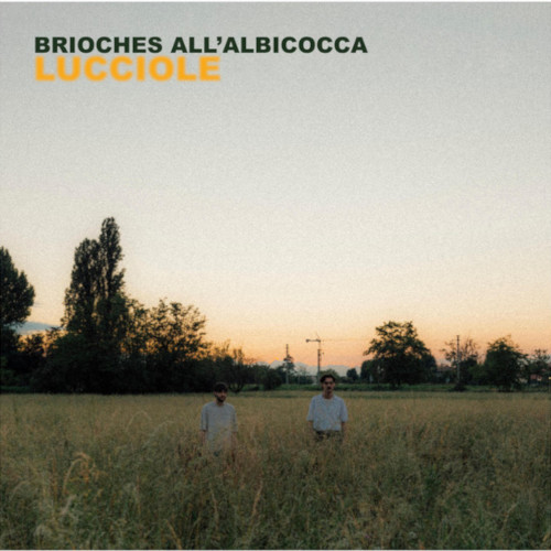 Brioches all'albicocca - Lucciole